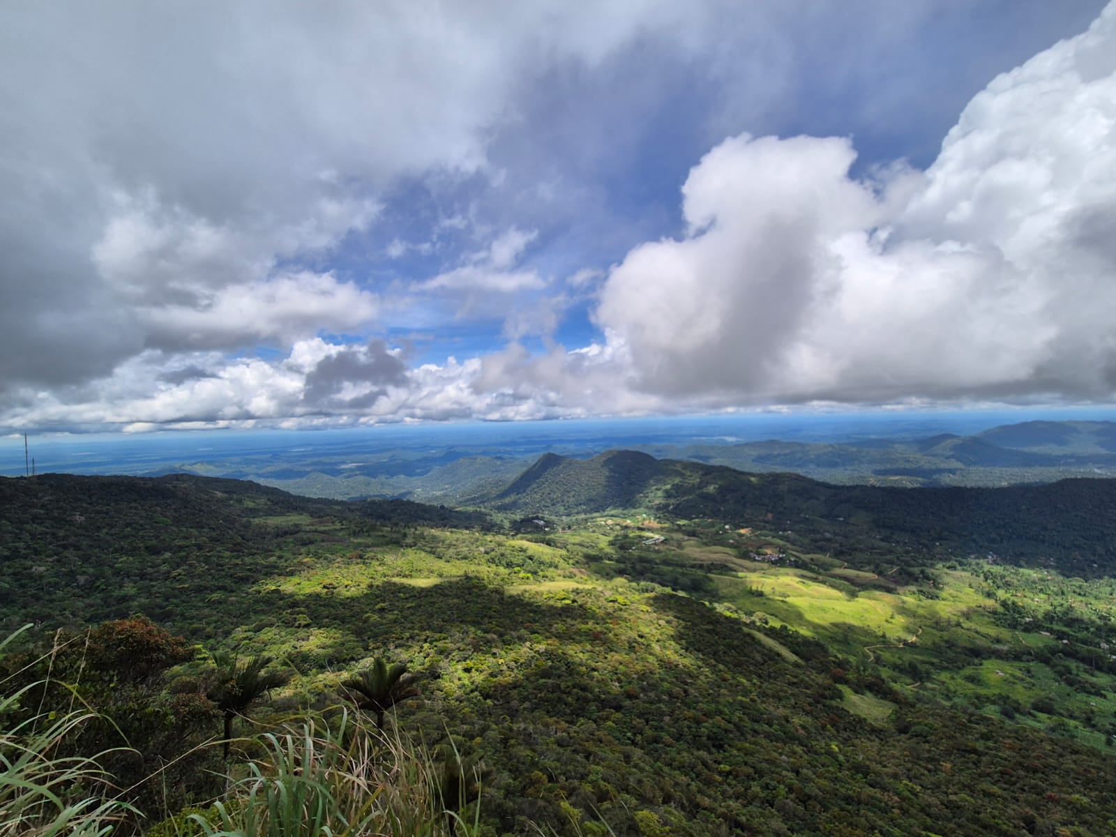 Gongala mountain viewpoint with lush green jungle and mist