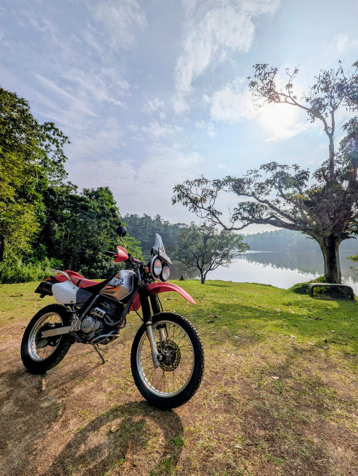 Hiyare rainforest trails